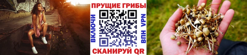 Галлюциногенные грибы мицелий  МЕГА ссылка  Завитинск 